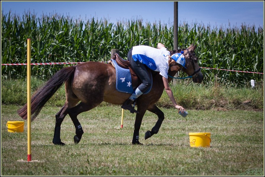 Mounted Games 204